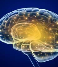 brain health health conditions img